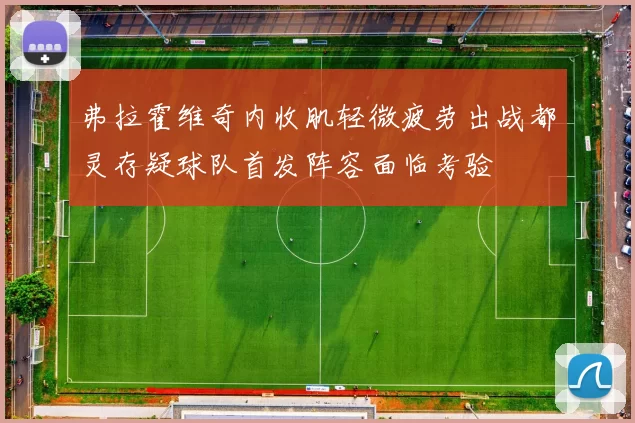 弗拉霍维奇内收肌轻微疲劳出战都灵存疑球队首发阵容面临考验